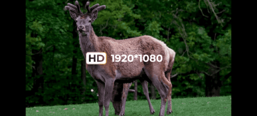 DNT Optics ZULUS ZHD520X - Image 10