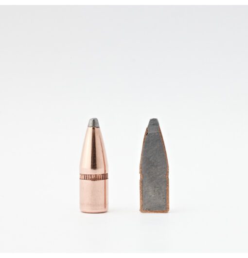 224 55GR HORNADY SP (100) - Image 4