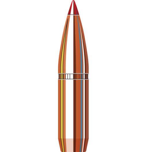 270 150GR HORNADY SST (100)