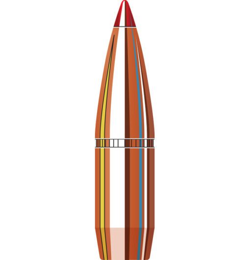308 180GR HORNADY SST (100)