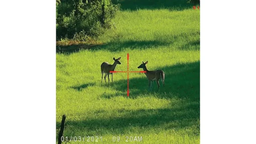 SightMark Wraith 4K Mini 2-16x32mm Digital Night Vision Rifle Scope - Image 10