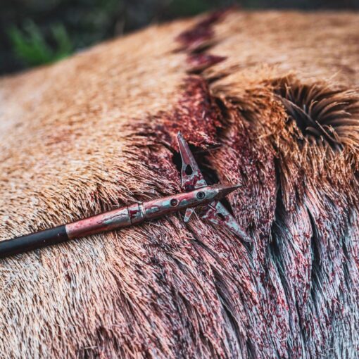 SEVR TITANIUM 1.75 BROADHEAD - Image 3