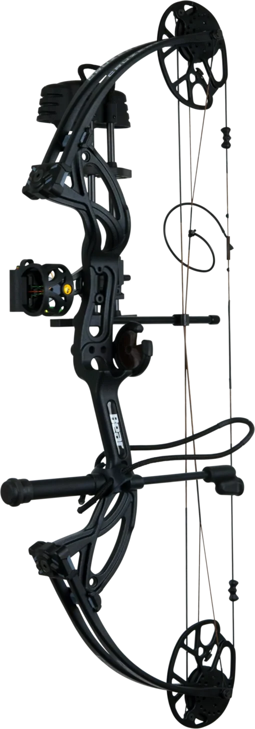 Bear Cruzer G3 Kit