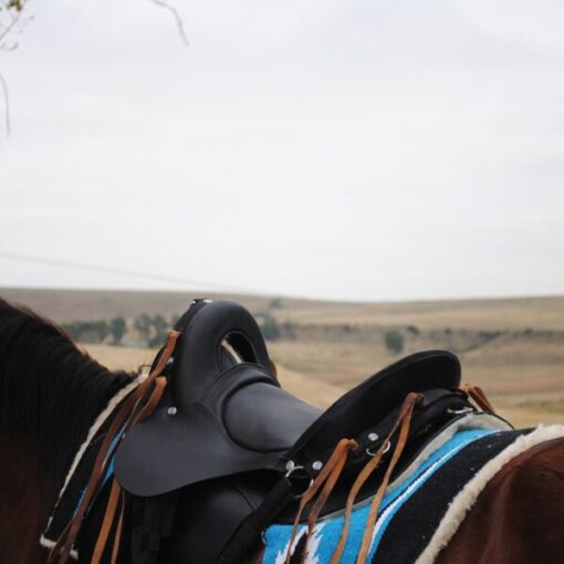 Trail Saddle – Trail Ranger Black - Image 3