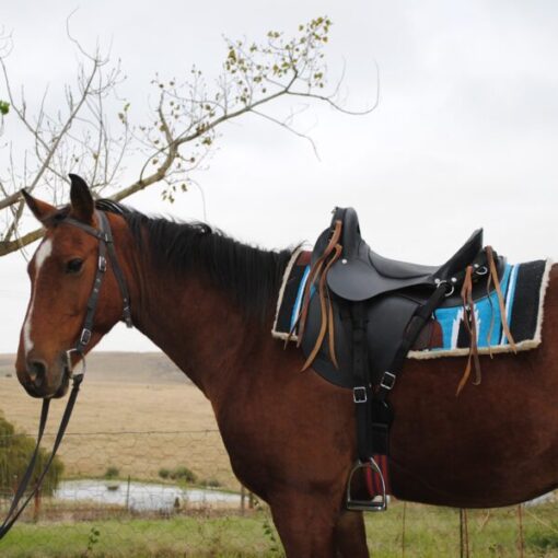 Trail Saddle – Trail Ranger Black - Image 4