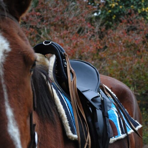 Trail Saddle – Trail Ranger Black - Image 5
