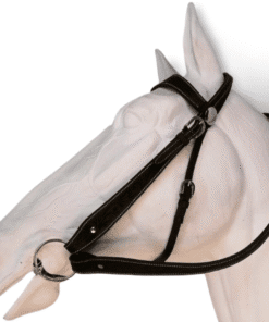 Carved Bridle with reins