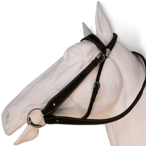 Carved Bridle with reins