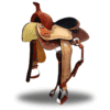 Western Saddle – The Rhinestone Cowboy