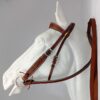 Western Bridle – Barb Wire Border with reins