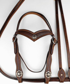 Silver Creek Bridle & Reins Set