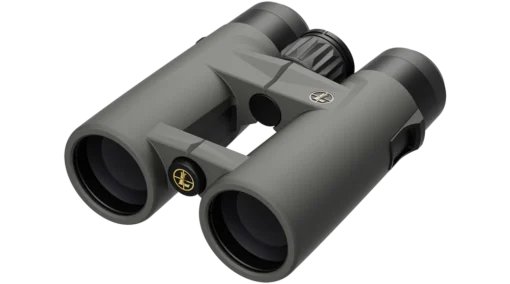 Leupold BINO BX-4 PRO GUIDE 10X42 HD ROOF-GREY GEN 2