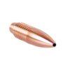 Balistix .22 Calibre HunTac Bullets – 45gr | Pack of 50